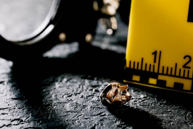 A close-up of a bullet

AI-generated content may be incorrect.